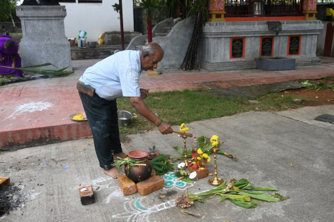 pongal celebration